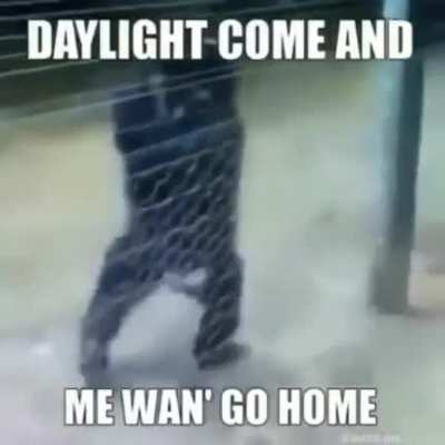 Daylight come and Me Wan' go home