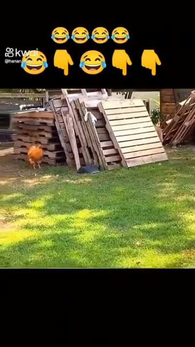 Maybe maybe maybe