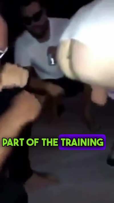 Wrong Rocky Movie