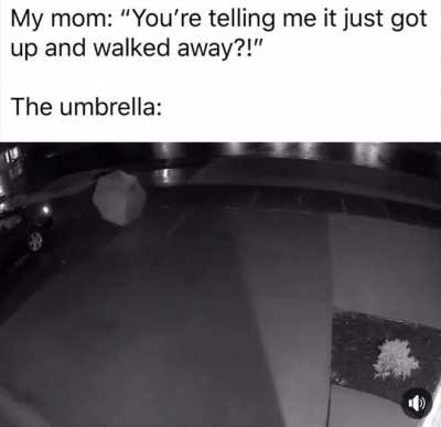 me_irl