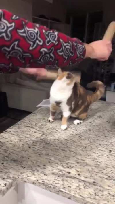 She demands the drum
