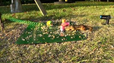 Just playing
