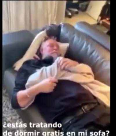 Xd