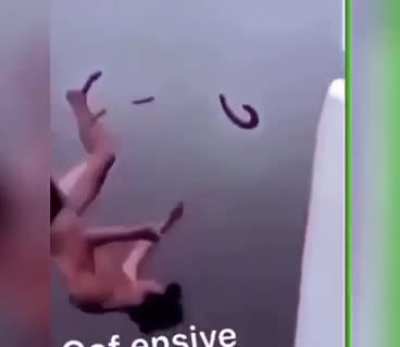 Bitch nigger slut shit