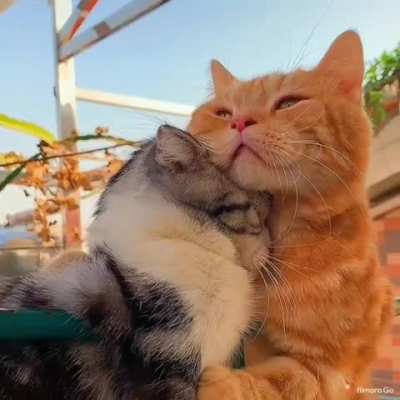 There there...