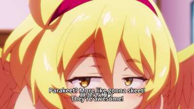 Monster Girl Review "Bird" [Interspecies Reviewers]