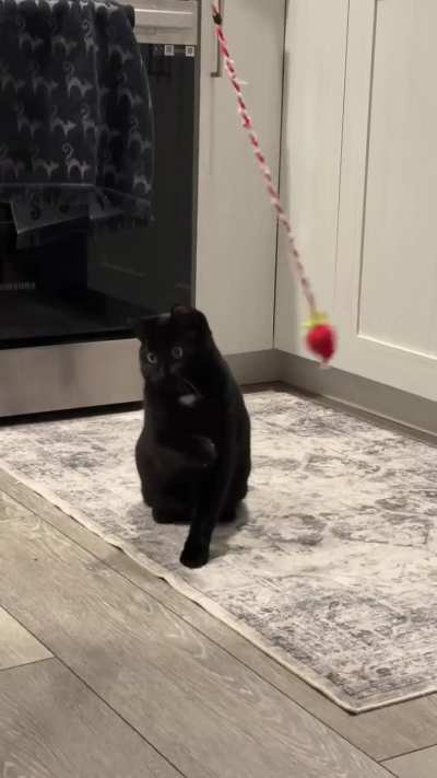 He&rsquo;s doing his best