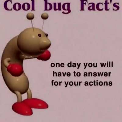 Cool bug Fact’s