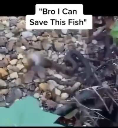 He saved the fish