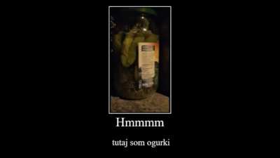Gdzie są og&oacute;rki?