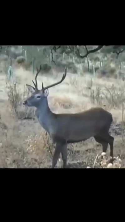 God I love nature.