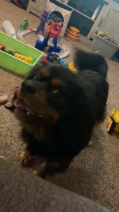 My daughter screamed at just the right time