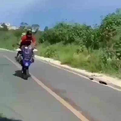 Sextou papai