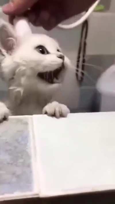 "Haaaaalpp.."