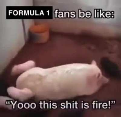 formula1 fans be like