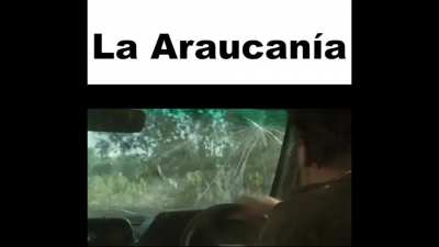 XD