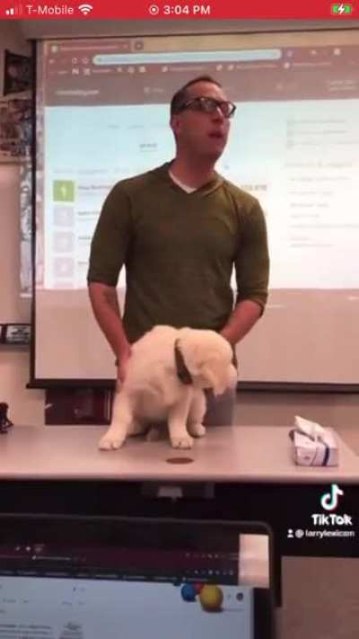 Buck the vocab mascot