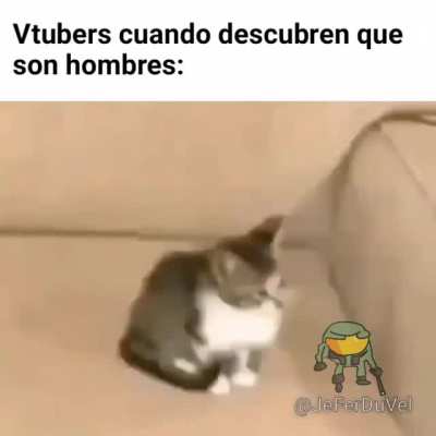 Nunca hay que confiar