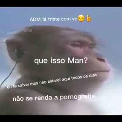 ...decepção
