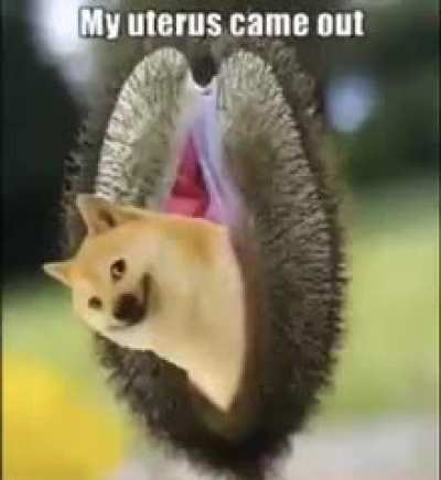 kum