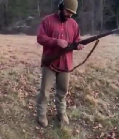 Looks harmless