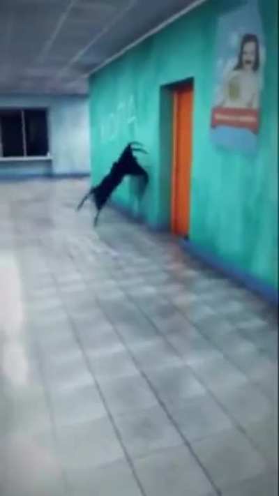 The editing of this video