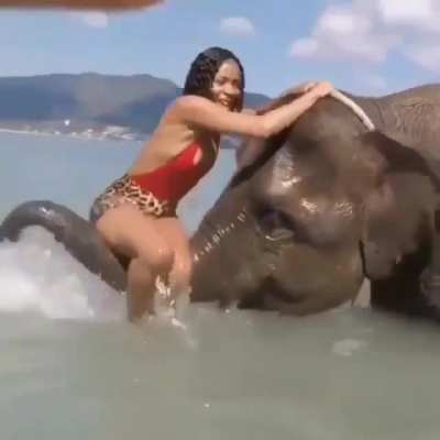 A kind elephant