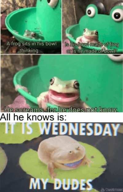All he knows is...