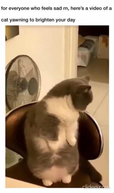 A yawn that can swallow a house!