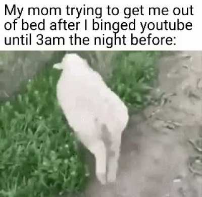 Let me rest