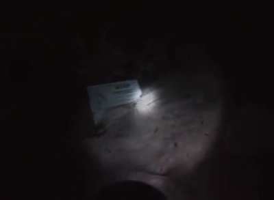 Freediving into a cave in Florida!