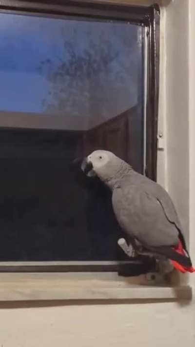 Suck
