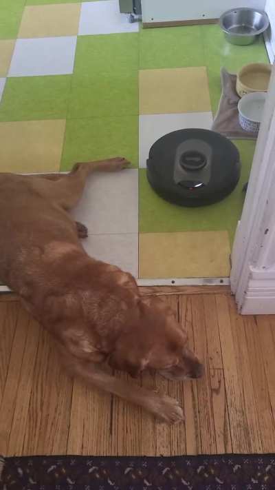 I thought my robot vacuum was a dud.