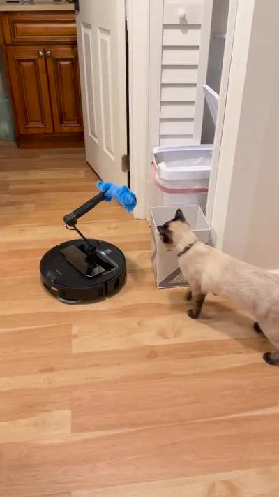 Roborock Saros Z70 pet toys