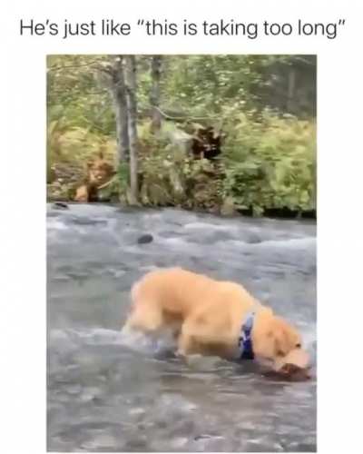 Let's play with me now