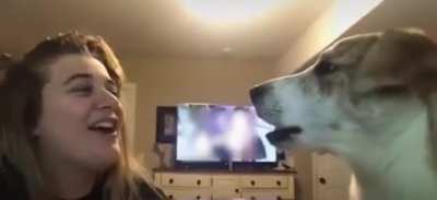 Don't copy me hooman