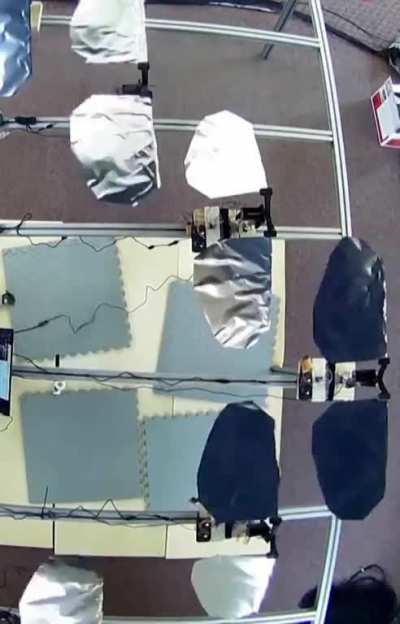 Dead bird drones by Mexican researchers