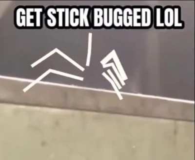 They added stick bugs into Factorio 1.0