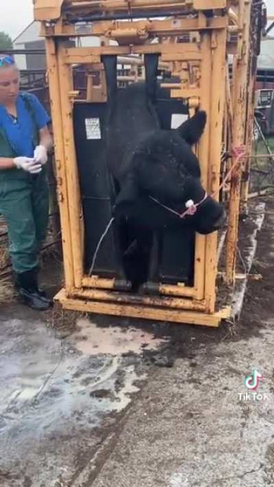 cursed_milk