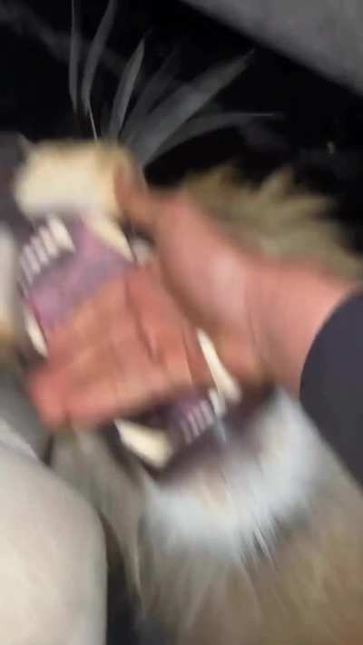 Maybe Maybe Maybe