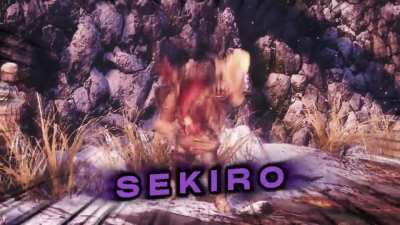 Sekiro MEME