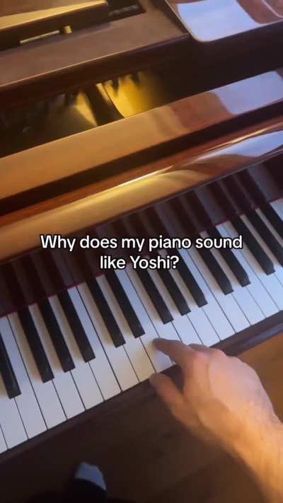 Holly shit