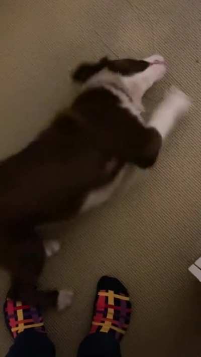 Every time she sees my bright socks