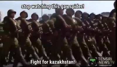 Spider
