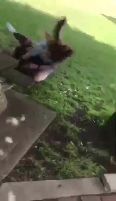 she got them hands
