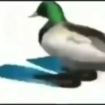 😨