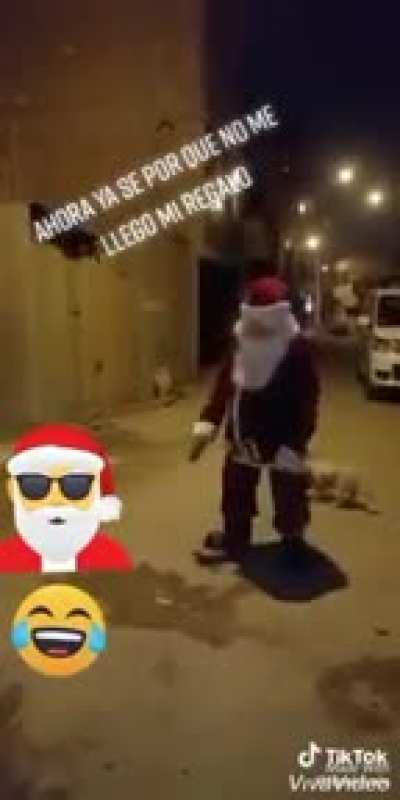 Hopefully the poor dog can help Santa home