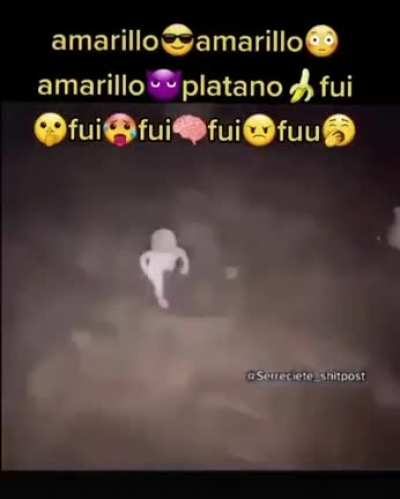 ♪～(´ε｀ )