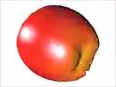 mac&atilde;