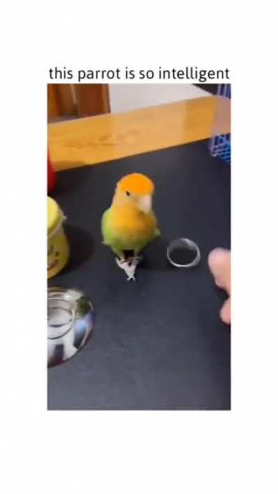 how?!?!